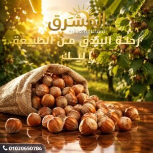 بندق تركى احمر